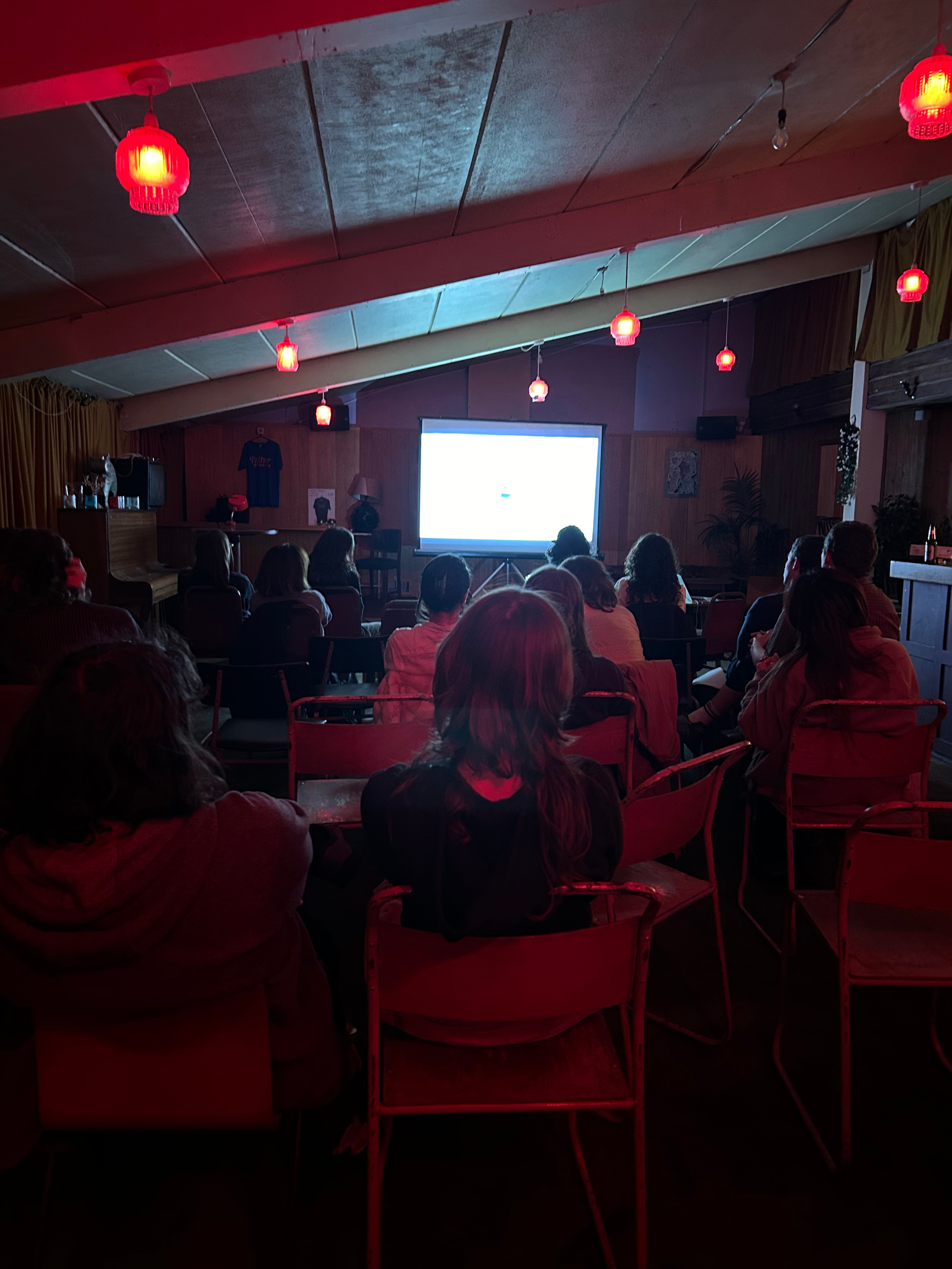 film screening documentation