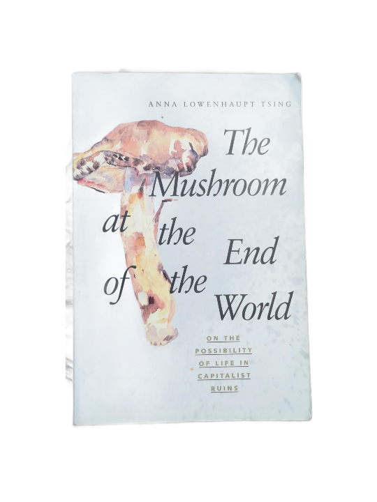 mushroom at end of world