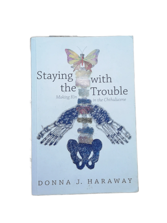 staying with the trouble